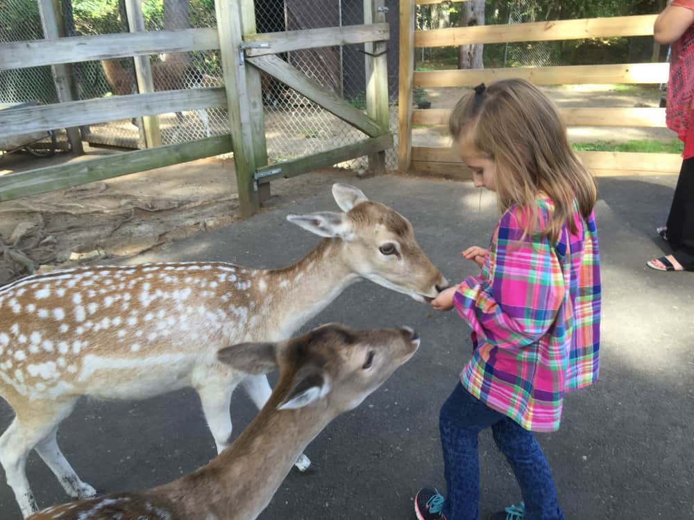 The Ultimate List Of Things To Do With Kids In Maine » 2-for-1 Around ...